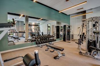 A gym with weights and cardio equipment on the floor and a wall of windows